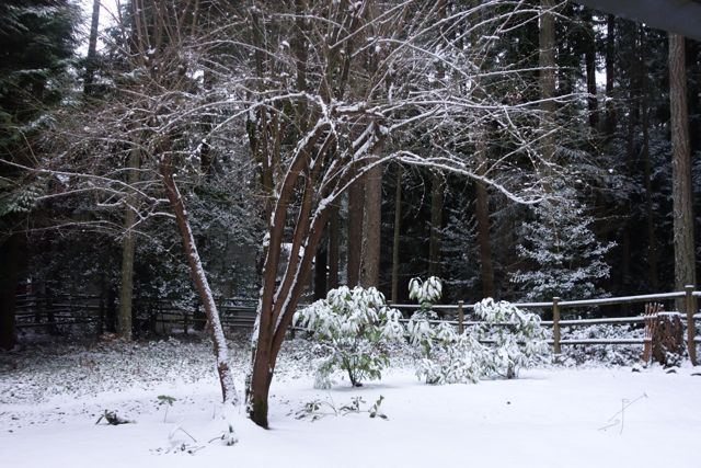 December snow!